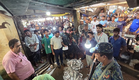 ফরিদপুরে ইলিশের আড়ত ও নকল শিশুখাদ্যের কারখানায় অভিযান, জরিমানা