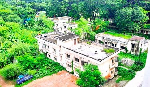 সরকারি আবাসনে ‘সাপ পোকার’ বাস