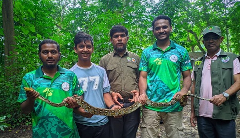কাপ্তাইয়ে ৭ কেজি ওজনের অজগর সাপ অবমুক্ত