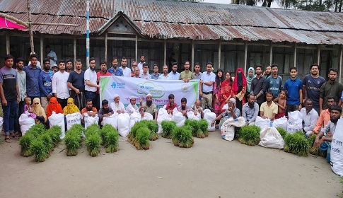 সুবর্ণচরে ধানের চারা ও কৃষি উপকরণ বিতরণ