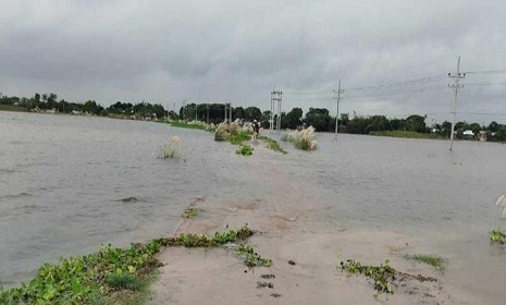 কুষ্টিয়ায় তলিয়ে গেছে ফসলের ক্ষেত, ৩৪ গ্রামের মানুষ পানিবন্দি