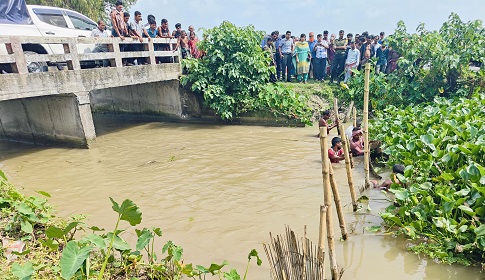 কোটালীপাড়ায় খালের প্রবাহ বন্ধ করে মাছ চাষ, অপসারণ করল উপজেলা প্রশাসন 