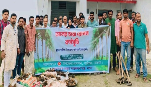 শালিখায় তালের চারা রোপণ কর্মসূচির উদ্বোধন