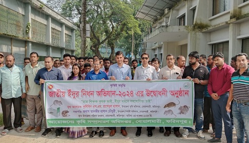 বোয়ালমারীতে জাতীয় ইঁদুর নিধন অভিযান