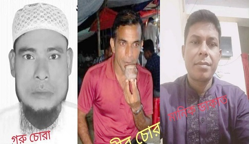 সুবর্ণচরে মোটরসাইকেল চুরির অভিযোগ