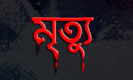 রাজবাড়ীতে কাঠের ফ্রেমের চাপায় শ্রমিকের মৃত্যু