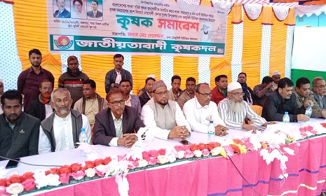 সুবর্ণচরে চরজুবিলী ইউনিয়ন কৃষক সমাবেশ অনুষ্ঠিত