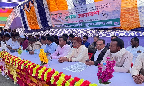 সুবর্ণচরে চরক্লার্ক ইউনিয়নে কৃষক সমাবেশ অনুষ্ঠিত