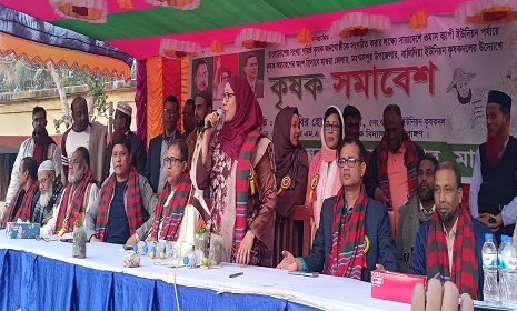 মহম্মদপুরে বালিদিয়া ইউনিয়ন কৃষকদলের সমাবেশ অনুষ্ঠিত 