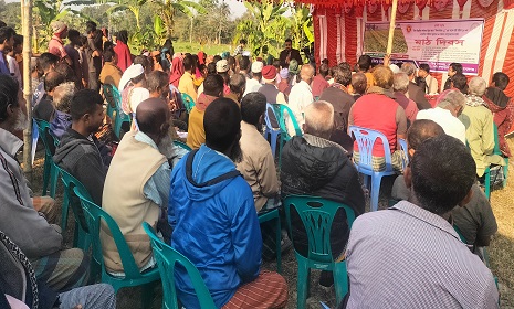 সরিষার প্রায়োগিক পরীক্ষণ মূল্যায়ন ও চাষাবাদ সম্প্রসারণে মাঠ দিবস অনুষ্ঠিত