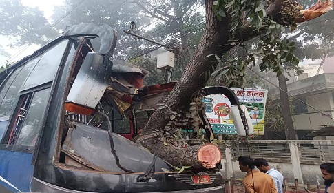 সাতক্ষীরায় বাস নিয়ন্ত্রণ হারিয়ে গাছের সঙ্গে ধাক্কা, হেলপারসহ আহত ১৩