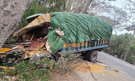 ফরিদপুরে পৃথক দুটি সড়ক দুর্ঘটনায় নিহত ২