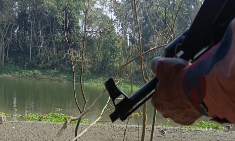 ঝিনাইদহ সীমান্তে থামানো যাচ্ছে না মানবপাচার