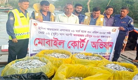 মেঘনায় বিপুল পরিমান জাটকা জব্দ