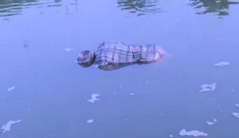 সোনারগাঁয়ে পুকুর থেকে অজ্ঞাত ব্যক্তির লাশ উদ্ধার