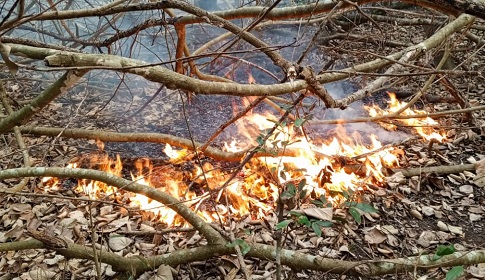 সুন্দরবনের গুলিশাখালীতে নতুন করে আগুন, টেপারবিলের আগুন এখনো নেভেনি