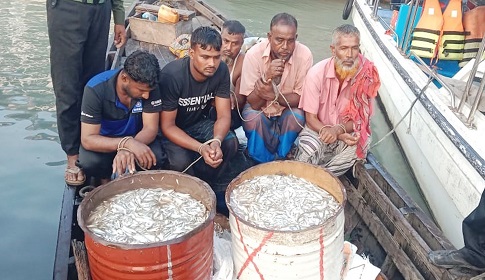 বরিশালে অভিযানিক দলের ওপর হামলায় আনসার সদস্য আহত, আটক ৫