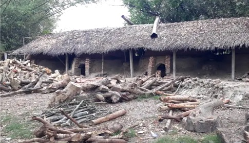 নড়াইলে অবৈধভাবে কাঠ পুড়িয়ে তৈরি হচ্ছে কয়লা, বিপর্যস্ত পরিবেশ