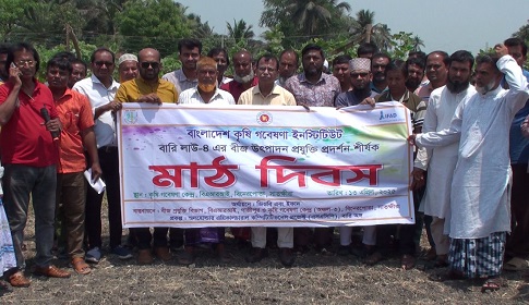 সাতক্ষীরায় বারি লাউ-৪ এর বীজ উৎপাদন প্রযুক্তি প্রদর্শন শীর্ষক মাঠ দিবস পালিত
