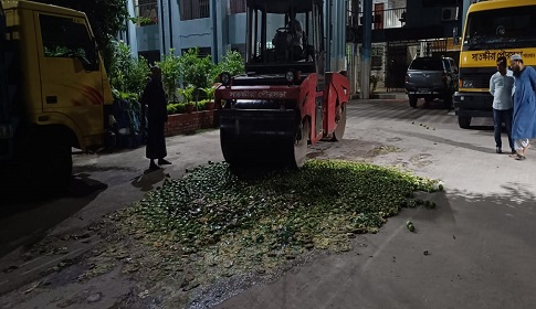সাতক্ষীরায় কেমিকেল মিশিয়ে ঢাকায় পাঠানোর সময় ৫ ক্যারেট আম জব্দ