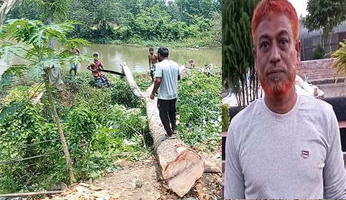 সরকারি জায়গার গাছ কেটে নিলো বিএনপি নেতা