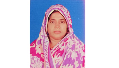 কালিগঞ্জে মোটরসাইকেল থেকে পড়ে নারীর মৃত্যু