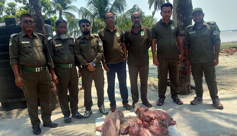 সুন্দরবন থেকে ৪২ কেজি হরিণের মাংস জব্দ