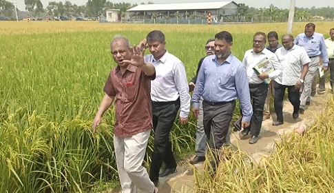 ‘সাবেক রাষ্ট্রপতির দেশত্যাগে জড়িতদের শাস্তি দিতে না পারলে পদত্যাগ করবো’