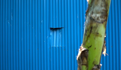 পাংশায় বসতবাড়ীতে হামলা, বোমা বিস্ফোরণ-গুলিবর্ষণ