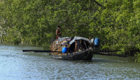 সুন্দরবনের নদীপথ দিয়ে ৭৮ জনকে বাংলাদেশে পুশ ইন