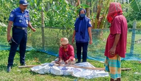 তিস্তা ট্রেনে কাটা পড়ে কিশোরীর মৃত্যু