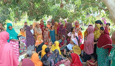 চাটমোহরে আম গাছ থেকে পড়ে প্রাণ গেল দিনমজুরের
