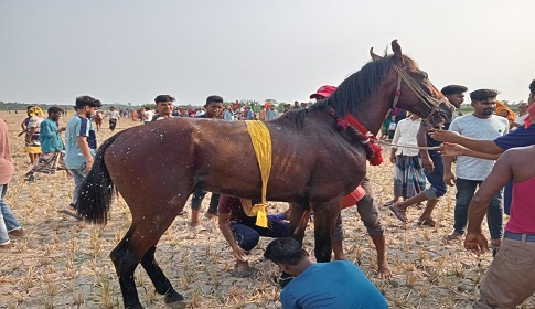 সাতক্ষীরায় ঘোড়দৌড় প্রতিযোগিতা অনুষ্ঠিত