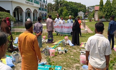 সালথায় সবজি বীজ ও ফলের চারা বিতরণ