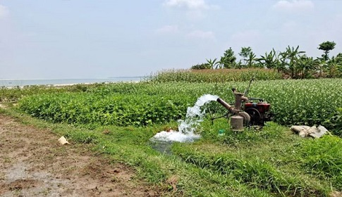 নদীবেষ্টিত জেলা রাজবাড়ীতে পানির অভাবে সেচ খরচ বাড়ছে