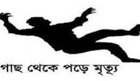 বোয়ালমারীতে আম গাছ থেকে পড়ে যুবদল নেতার মৃত্যু