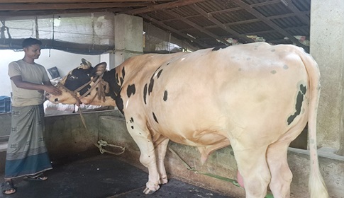 সবার নজর কেড়েছে ৩০ মণ ওজনের ফণী