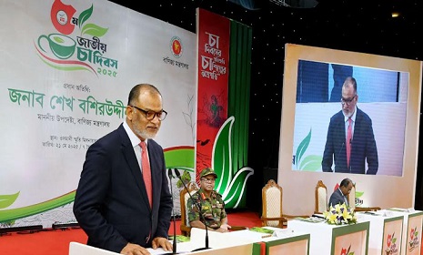 ‘চা রপ্তানি বাড়াতে কাজ করছে সরকার’