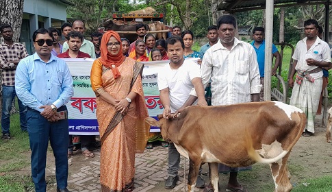 নাটোরে ক্ষুদ্র নৃগোষ্ঠী পরিবারের মাঝে গরু বিতরণ