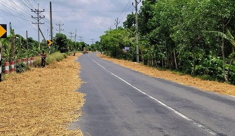 রাজবাড়ী-কুষ্টিয়া মহাসড়কে খড় শুকানোয় বাড়ছে দুর্ঘটনার আশঙ্কা