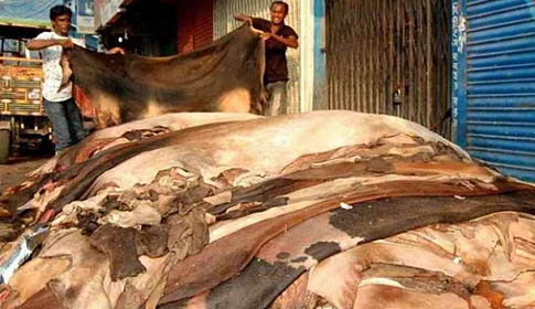 কোরবানির পশুর চামড়ার মূল্য নির্ধারণ