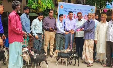 কাপ্তাইয়ে প্রান্তিক মৎস্যজীবিদের মাঝে ছাগল বিতরণ