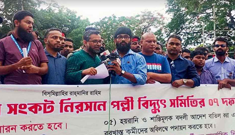 সারাদেশে কর্মবিরতির ঘোষণা পল্লী বিদ্যুৎ সমিতির