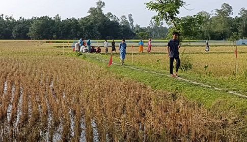 এক যুগ পর আ.লীগ নেতার দখলে থাকা সরকারি সড়ক উদ্ধার