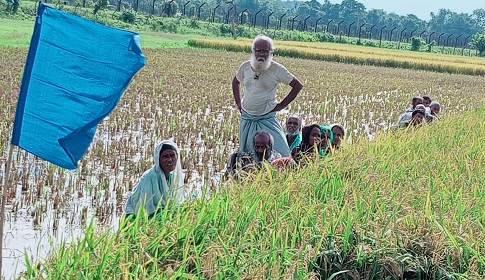 কুড়িগ্রামে ৩৭ জনকে পুশইন, রৌমারীতে পুশইনের ঘটনায় উত্তেজনা