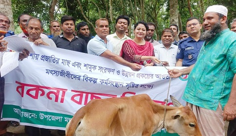 মৎস্যজীবীদের মাঝে বকনা বাছুর বিতরণ