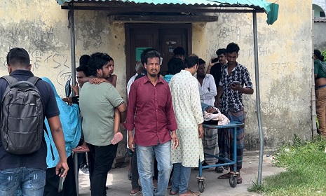 কুষ্টিয়ায় সাপের কামড়ে দুই কৃষকের মৃত্যু