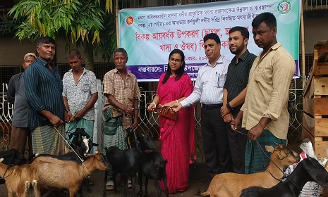 কাপ্তাইয়ে নিবন্ধিত মৎস্যজীবিদের মাঝে ছাগল বিতরণ