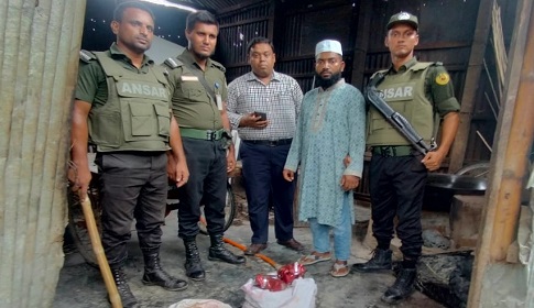 রং মিশিয়ে আইসক্রিম তৈরি, কারখানা মালিকের কারাদণ্ড