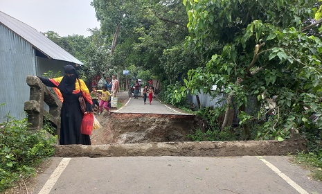 সালথায় ভারী বৃষ্টিতে ব্রিজ ভেঙে পড়ায় জনদুর্ভোগ চরমে
